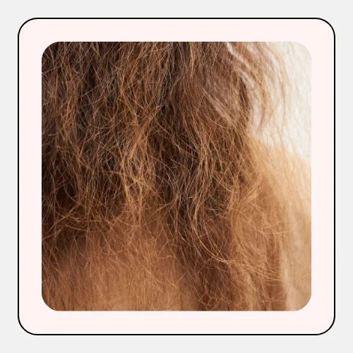Dull Hair & Split Ends